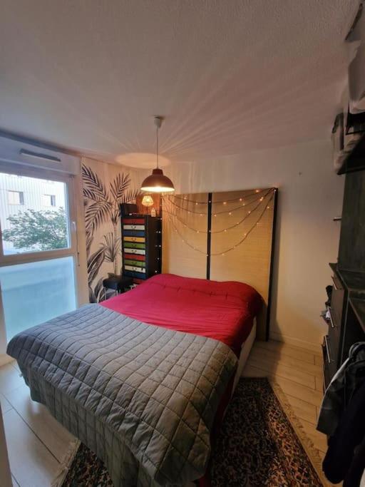 Bord De Garonne Avec Parking Apartment *