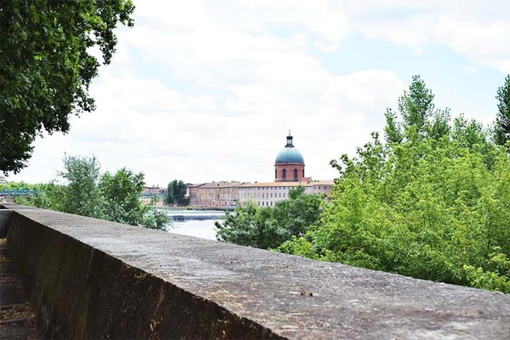 Bord De Garonne Avec Parking Apartment *